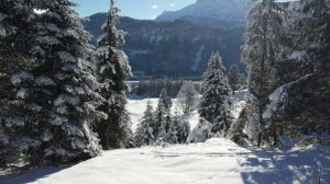 Bild 23: KOMFORT-FEWO Tiroler Lechtal - am Skilift/Loipe - ruhige Lage