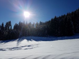 Bild 24: KOMFORT-FEWO Tiroler Lechtal - am Skilift/Loipe - ruhige Lage