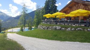 Bild 37: KOMFORT-FEWO Tiroler Lechtal - am Skilift/Loipe - ruhige Lage