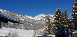 Bild 34: KOMFORT-FEWO Tiroler Lechtal - am Skilift/Loipe - ruhige Lage