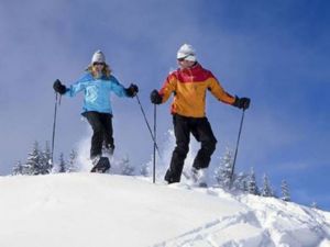 Bild 3: KOMFORT-FEWO Tiroler Lechtal - am Skilift/Loipe - ruhige Lage