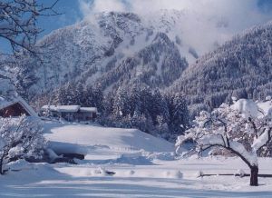 Bild 22: KOMFORT-FEWO Tiroler Lechtal - am Skilift/Loipe - ruhige Lage