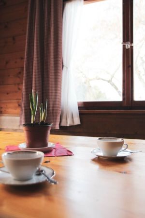 Bild 4: Rustikale Ferienwohnung in den Vorarlberger Alpen, FURX4you