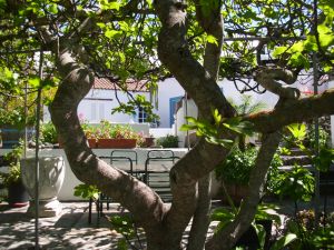 Bild 2: Casa Frederico - altkanarisches Bauernhaus-zur Zeit nicht buchbar