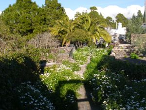 Bild 10: Casa Frederico - altkanarisches Bauernhaus-zur Zeit nicht buchbar
