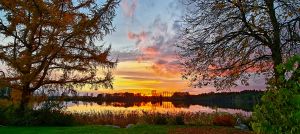 Bild 12: Ferienwohnung am See in Oberbayern
