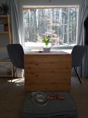 Auch drinnen den Wald genießen