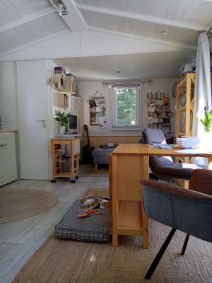 großer Wohnraum mit viel Tageslicht