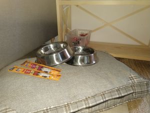 Eure Vierbeiner sind bei uns herzlich Willkommen und bekommen ein Begrüßungsgeschenk