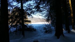 Bild 16: Waldhaus Sonnenberg Fewo 2 - der Traum von Ruhe und Erholung