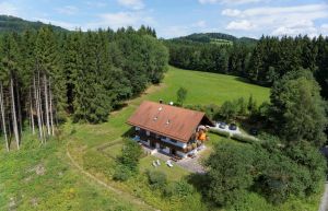 Bild 4: Waldhaus Sonnenberg Fewo 4 - Traum von absoluter Ruhe und Erholung