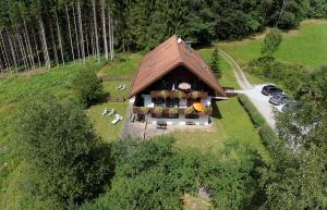 Bild 3: Waldhaus Sonnenberg Fewo 4 - Traum von absoluter Ruhe und Erholung
