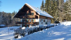 Bild 17: Waldhaus Sonnenberg Fewo 4 - Traum von absoluter Ruhe und Erholung