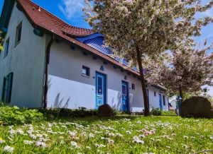 In einer großen parkähnlich angelegten Anlage.