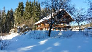 Bild 9: Waldhaus Sonnenberg Fewo 3 - Ruhe u. Erholung pur