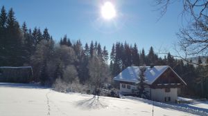 Bild 10: Waldhaus Sonnenberg Fewo 3 - Ruhe u. Erholung pur