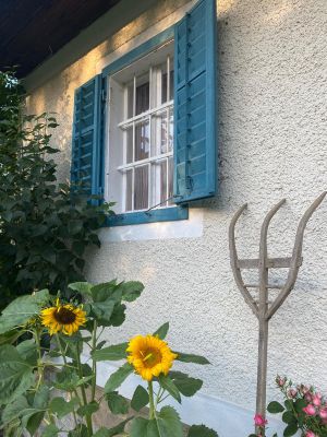 Bild 4: Kellerstöckl auf der "Varm - the vegan Farm" - der bio-vegane Lebenshof