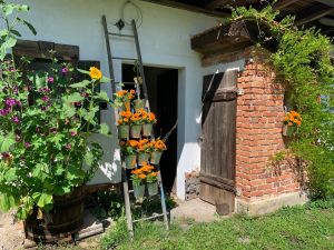 Bild 15: Kellerstöckl auf der "Varm - the vegan Farm" - der bio-vegane Lebenshof