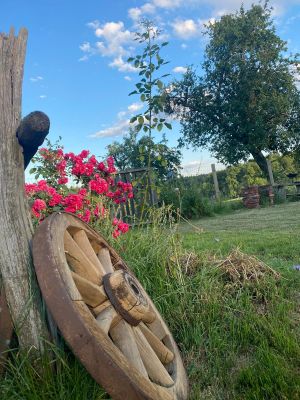 Bild 16: Kellerstöckl auf der "Varm - the vegan Farm" - der bio-vegane Lebenshof