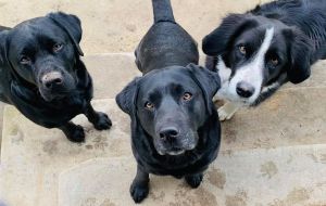 Bild 25: Kellerstöckl auf der "Varm - the vegan Farm" - der bio-vegane Lebenshof