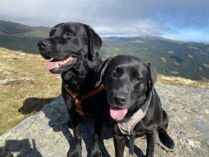 Bild 30: Kellerstöckl auf der "Varm - the vegan Farm" - der bio-vegane Lebenshof