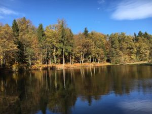 Bild 38: Kellerstöckl auf der "Varm - the vegan Farm" - der bio-vegane Lebenshof