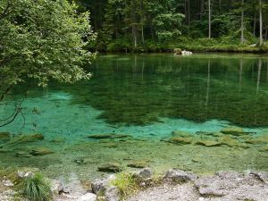 Hier gibt es dicke Fische
