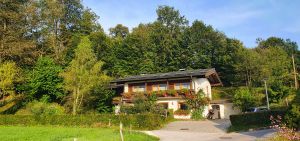 sonnige Wohnung mit Waldblick aus dem Schlafzimmer