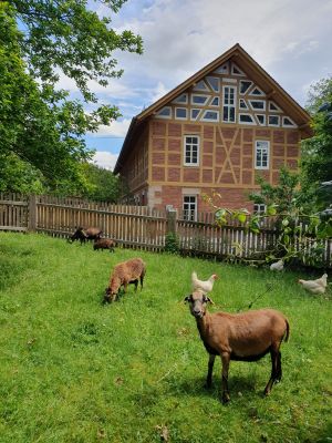 Bild 9: Ferien auf einem historischen Mühlhof