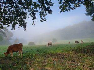 Bild 1: Ferien auf einem historischen Mühlhof