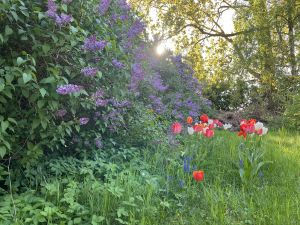 Aprilimpression